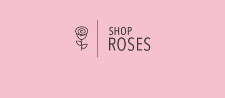 Beautiful Seasonal Flowers Banner