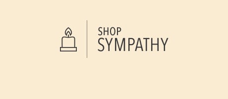 Beautiful Seasonal Flowers Banner